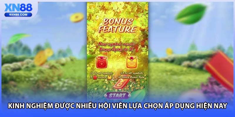 Kinh nghiệm được nhiều hội viên lựa chọn áp dụng hiện nay