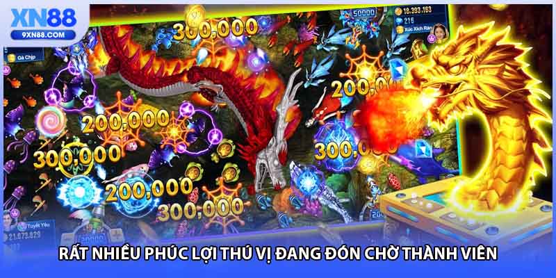 Rất nhiều phúc lợi thú vị đang đón chờ thành viên